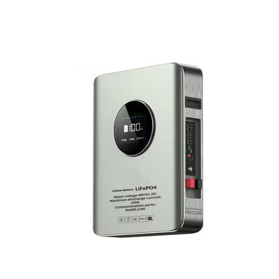 kualitas 51.2V 100Ah Wall Mount LiFePO4 Baterai 5.12kWh Storage Surya Dengan Layar LCD Smart BMS RS485 CAN IP55 Rated Wholesale And Private Label Solutions pabrik